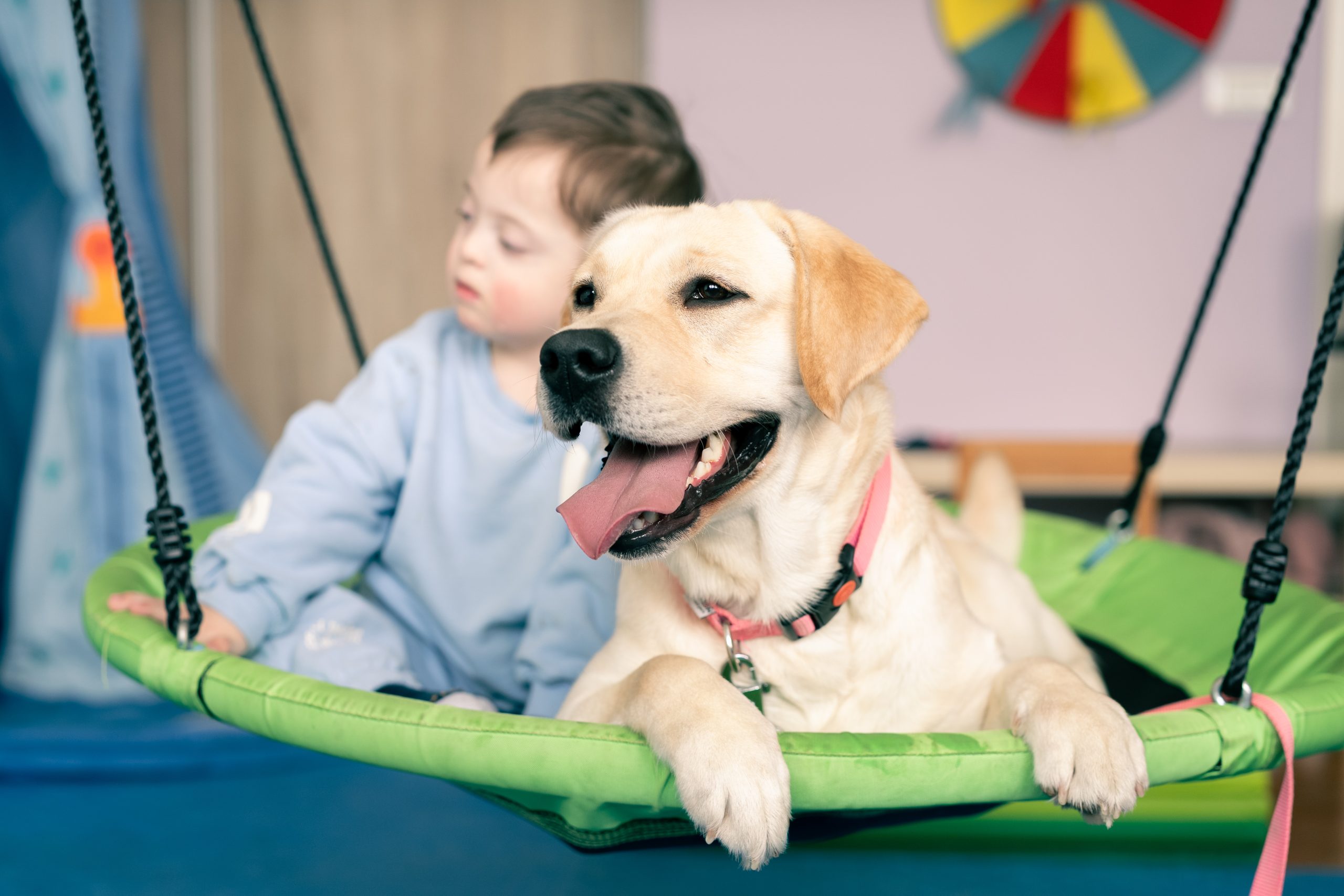 končar d&st, dječak emanuel, bella